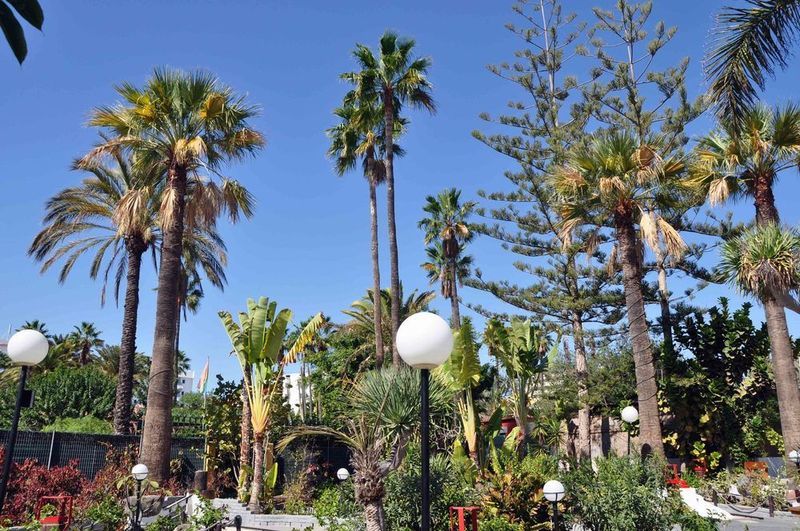San Valentin & Terraflor Park Hotel Playa del Ingles  Luaran gambar