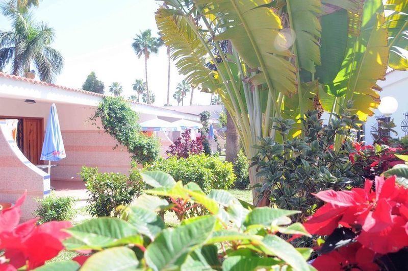 San Valentin & Terraflor Park Hotel Playa del Ingles  Luaran gambar