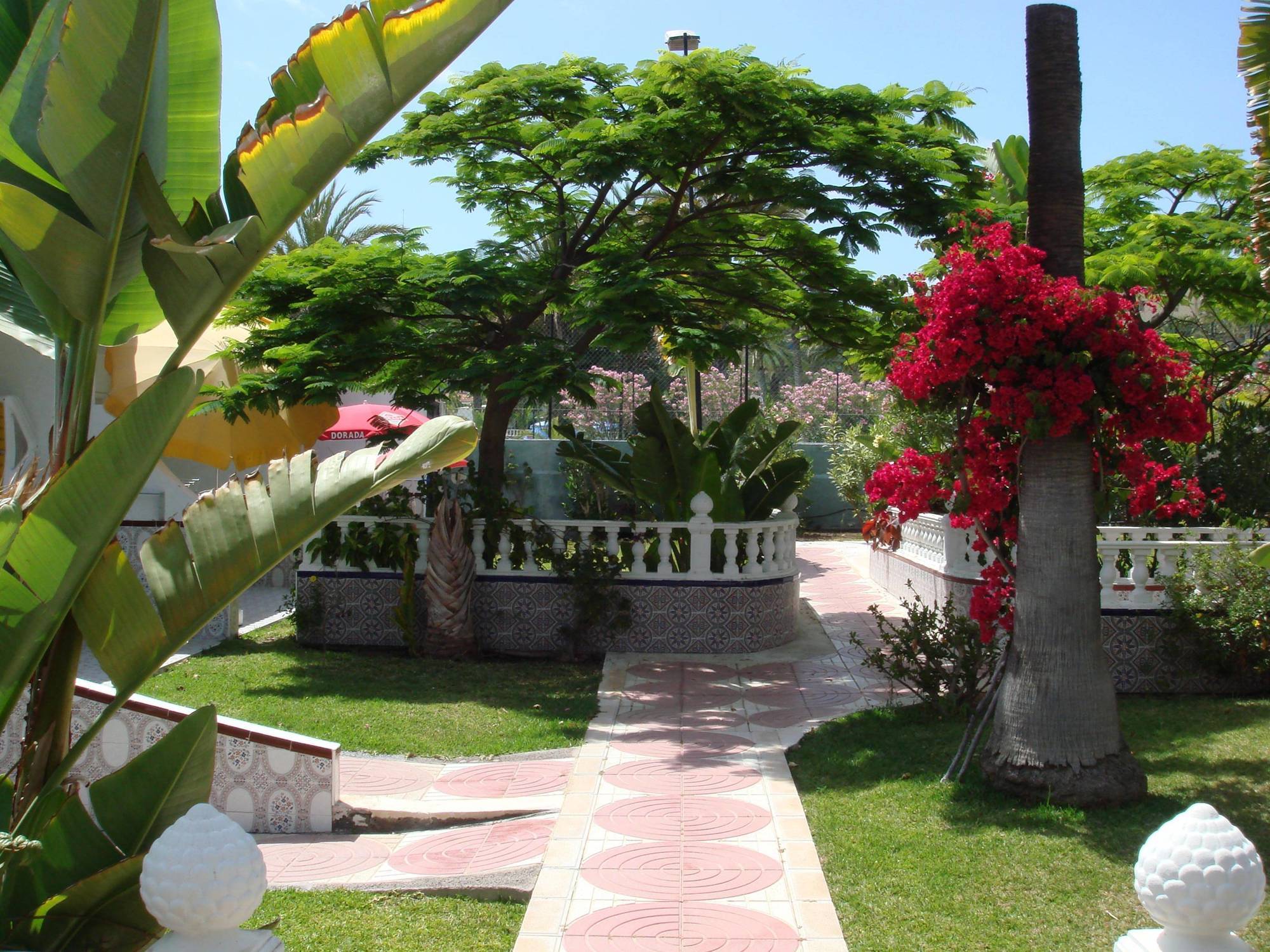 San Valentin & Terraflor Park Hotel Playa del Ingles  Luaran gambar
